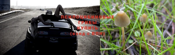 apvp Касимов