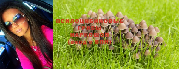 apvp Касимов