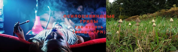 шишки Карталы