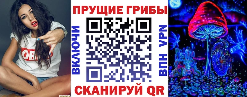 Купить где  Пудож  Галлюциногенные грибы Cubensis 